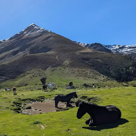 La Maison Du Sabotier 度假居